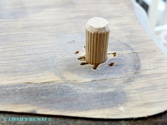 Gros plan tourillon de 10